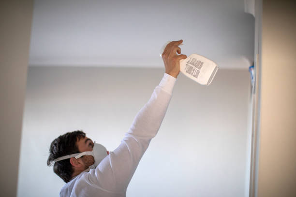 Best Home Mold Removal  in Fergus Falls, MN