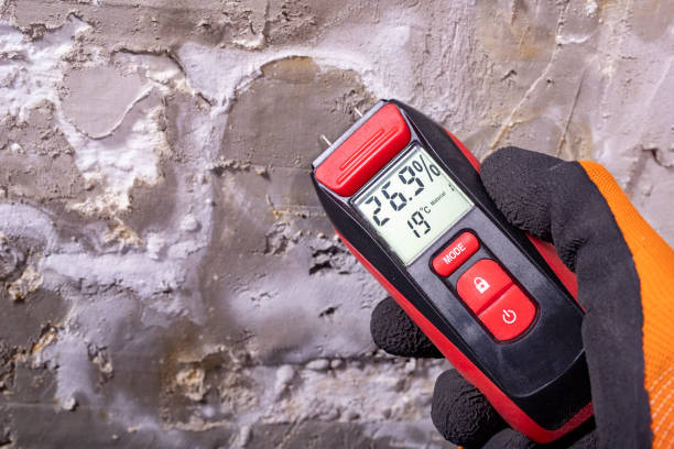 Home Mold Removal in Fergus Falls, MN